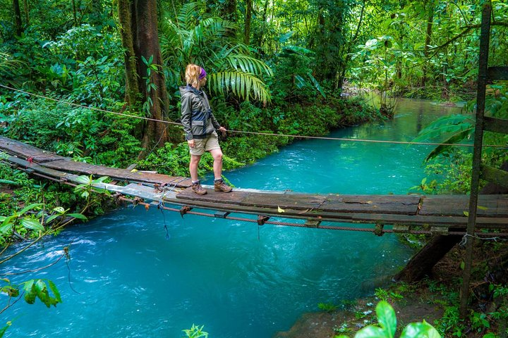 Tropical rain forest hike